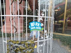 -花之城