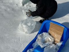 -长春市南湖公园