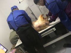 -达爱动物医院·犬猫分区·CT·复杂眼科(远洋山水分院)