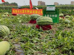 -长春农博园