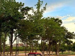 -汉长安城未央宫国家考古遗址公园