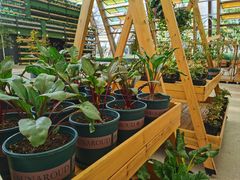 -中国天府农业博览园