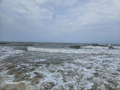 -日照海滨国家森林公园