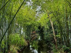 -林丰温泉度假山庄