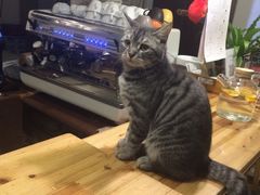 -隅cafe(傅厚岗店)