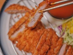 -猫头鹰炸鸡