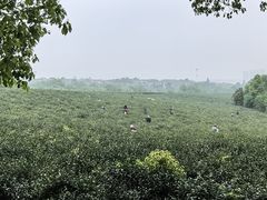 -敬亭山风景名胜区