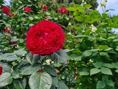 -国家植物园南园