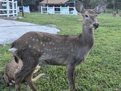 -清远熹乐谷温泉度假酒店