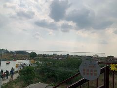 -空港花田景区
