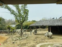 -上海野生动物园