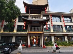 -巢湖名吃·东关老鹅汤(江南风情街店)
