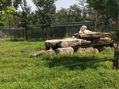 -秦皇岛野生动物园