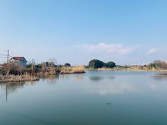 -长广溪湿地公园