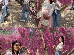 -黄金沟旅游风景区