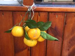 -肥朵食堂(带梦胡同店)