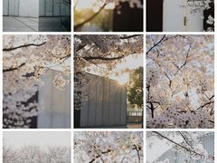 -龙美术馆(西岸馆)
