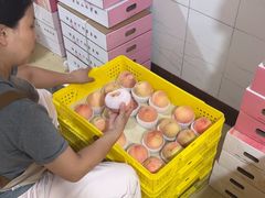 -老袁家蜜桃农场·阳山水蜜桃