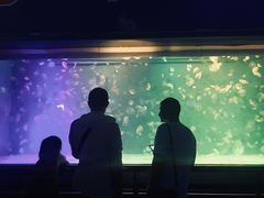 -厦门海底世界