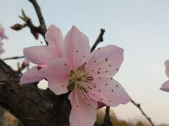 -江南大学(蠡湖校区)