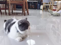 -seeu coffee(江滩店)