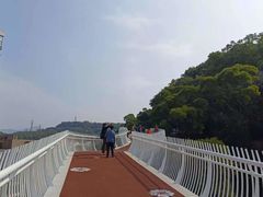 -金鸡山公园
