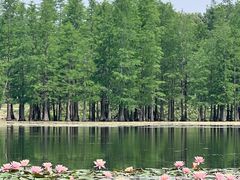 -白鹭湾湿地公园