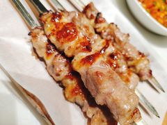 咸盐烤羊肉串-丝路有约·西域美食