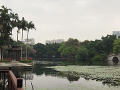 -荔湾湖公园