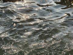 -三江森林温泉度假区