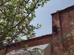 -boundaries籬苑(瑞光创意工厂-贰号院店)