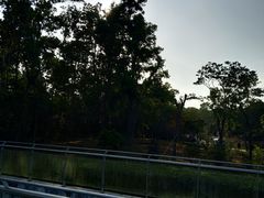 景点-聚龙山公园