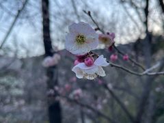 -鹫峰国家森林公园