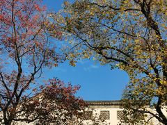 -老门东历史文化街区