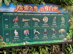 -广州长隆飞鸟乐园