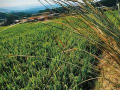 -山王坪喀斯特国家生态公园