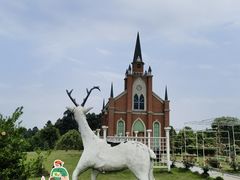 -都江堰玫瑰花溪谷