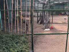-珠海海泉湾神秘岛亲子乐园