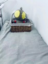 -杉惠素颜美妆皮肤管理中心