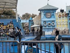 -华夏文旅海洋公园