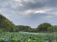 -艾溪湖湿地公园