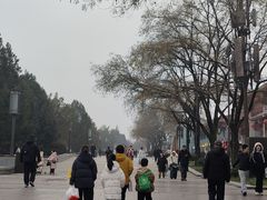 -大雁塔北广场音乐喷泉