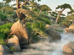 -罗红摄影艺术馆