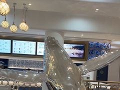 -贝林大翅鲸简餐厅(国家海洋博物馆店)