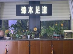 -臻本足道(武林壹号店)