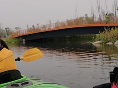 -白鹭湾湿地公园