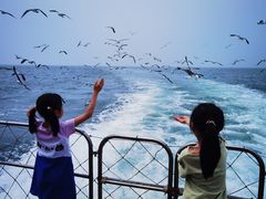 -海驴岛(荣成市)