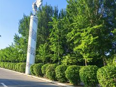 -丁香湖公园