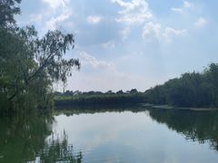 -西溪国家湿地公园