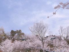 -幕燕滨江·燕子矶公园